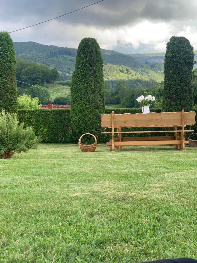 Villa Casa din Vale Lupeni  Esterno foto