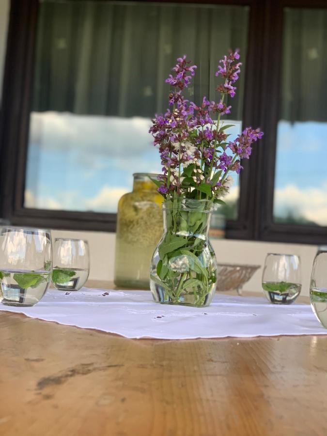 Villa Casa din Vale Lupeni  Esterno foto