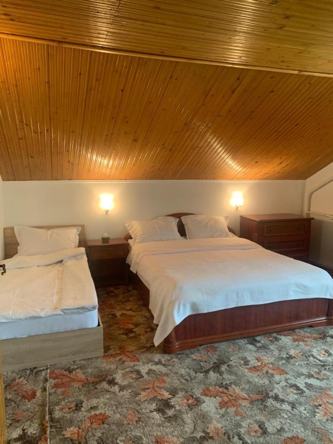 Villa Casa din Vale Lupeni  Esterno foto